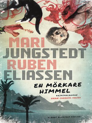 En mörkare himmel - ebook